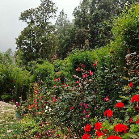 Himwanderer Camps & Cottages Pangot Найнитал Экстерьер фото