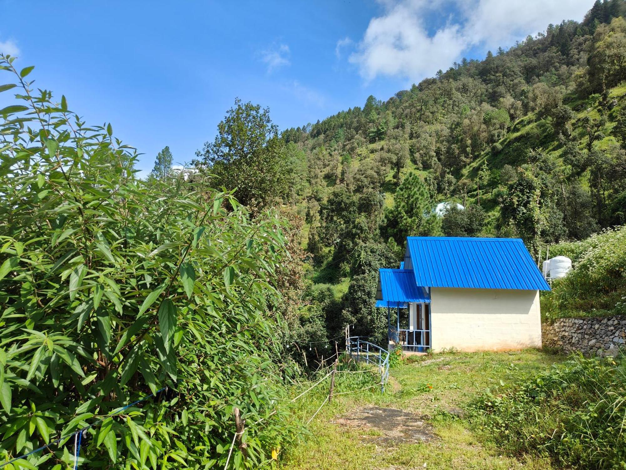Himwanderer Camps & Cottages Pangot Найнитал Экстерьер фото
