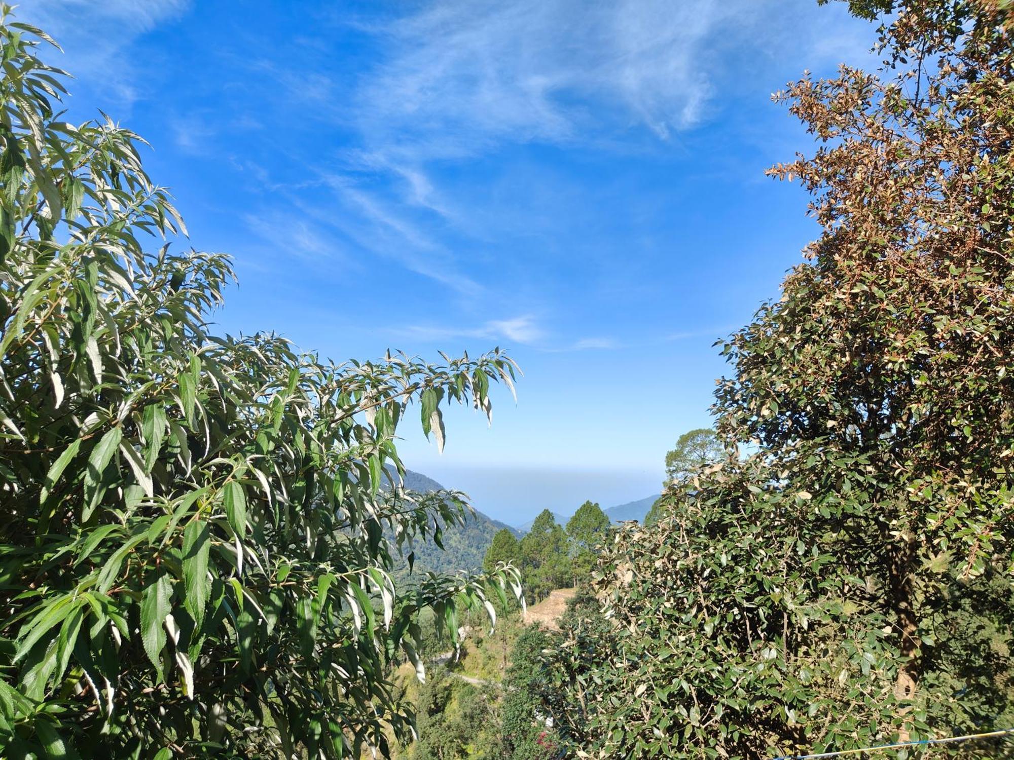Himwanderer Camps & Cottages Pangot Найнитал Экстерьер фото