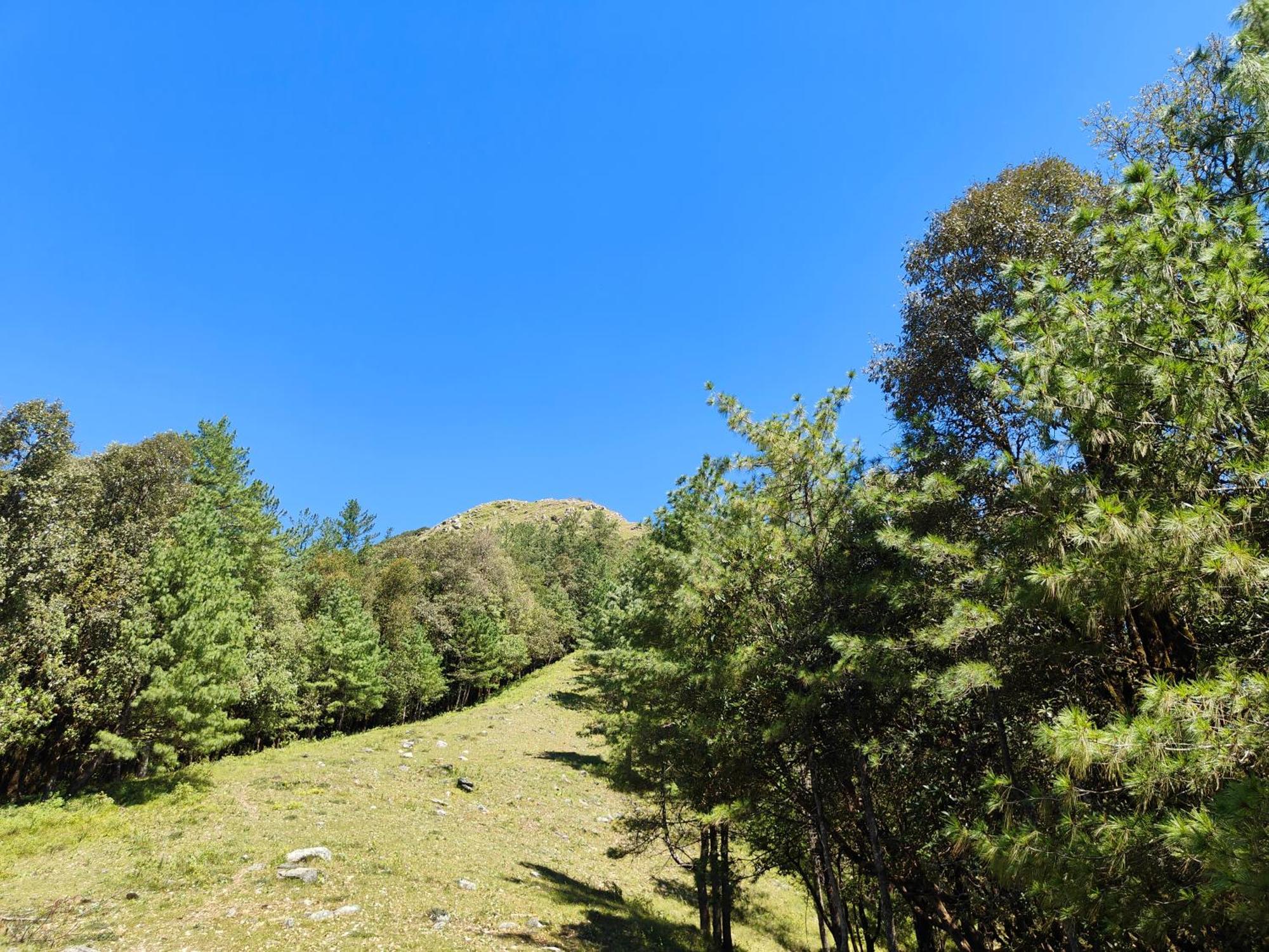 Himwanderer Camps & Cottages Pangot Найнитал Экстерьер фото