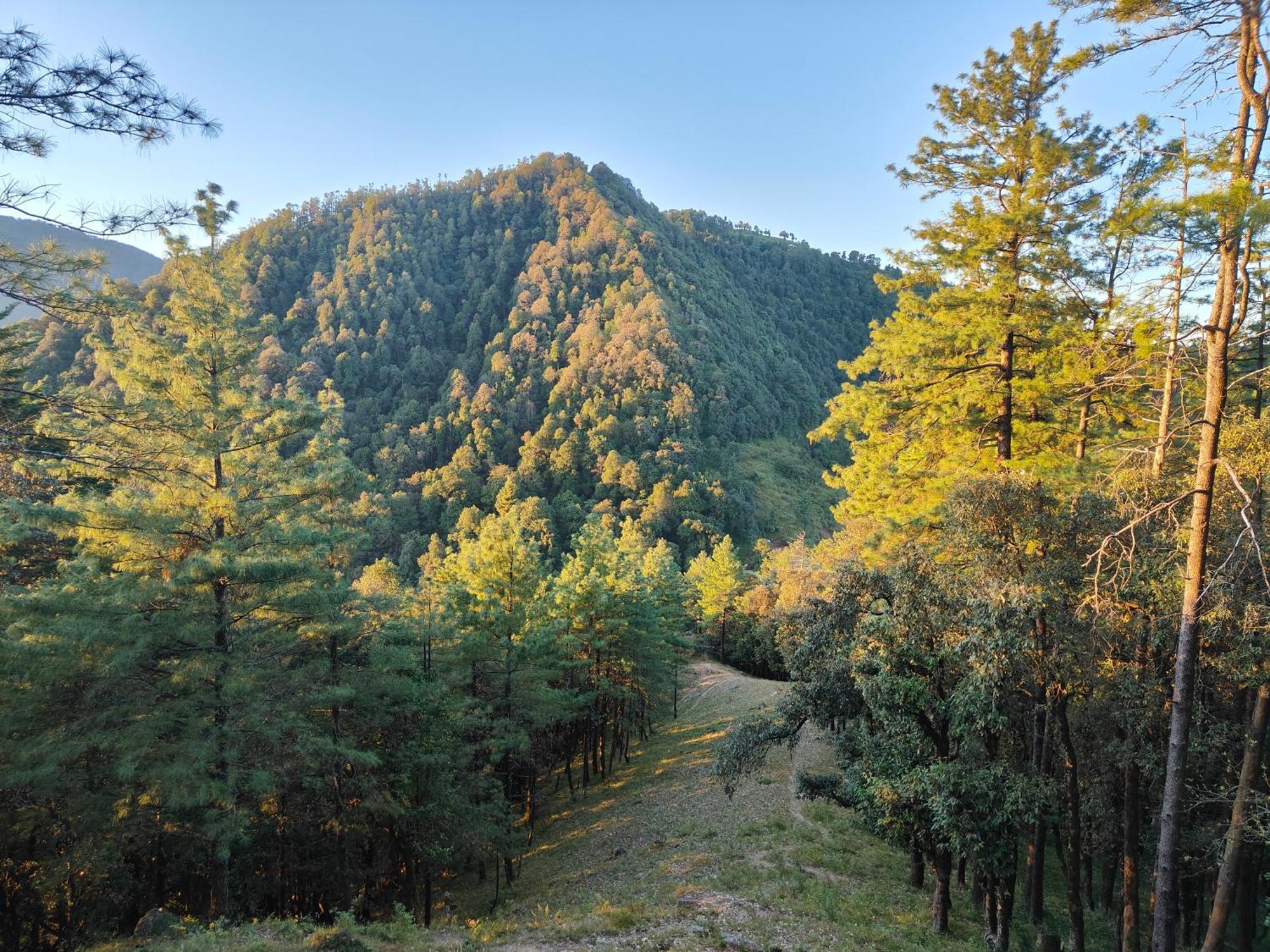 Himwanderer Camps & Cottages Pangot Найнитал Экстерьер фото