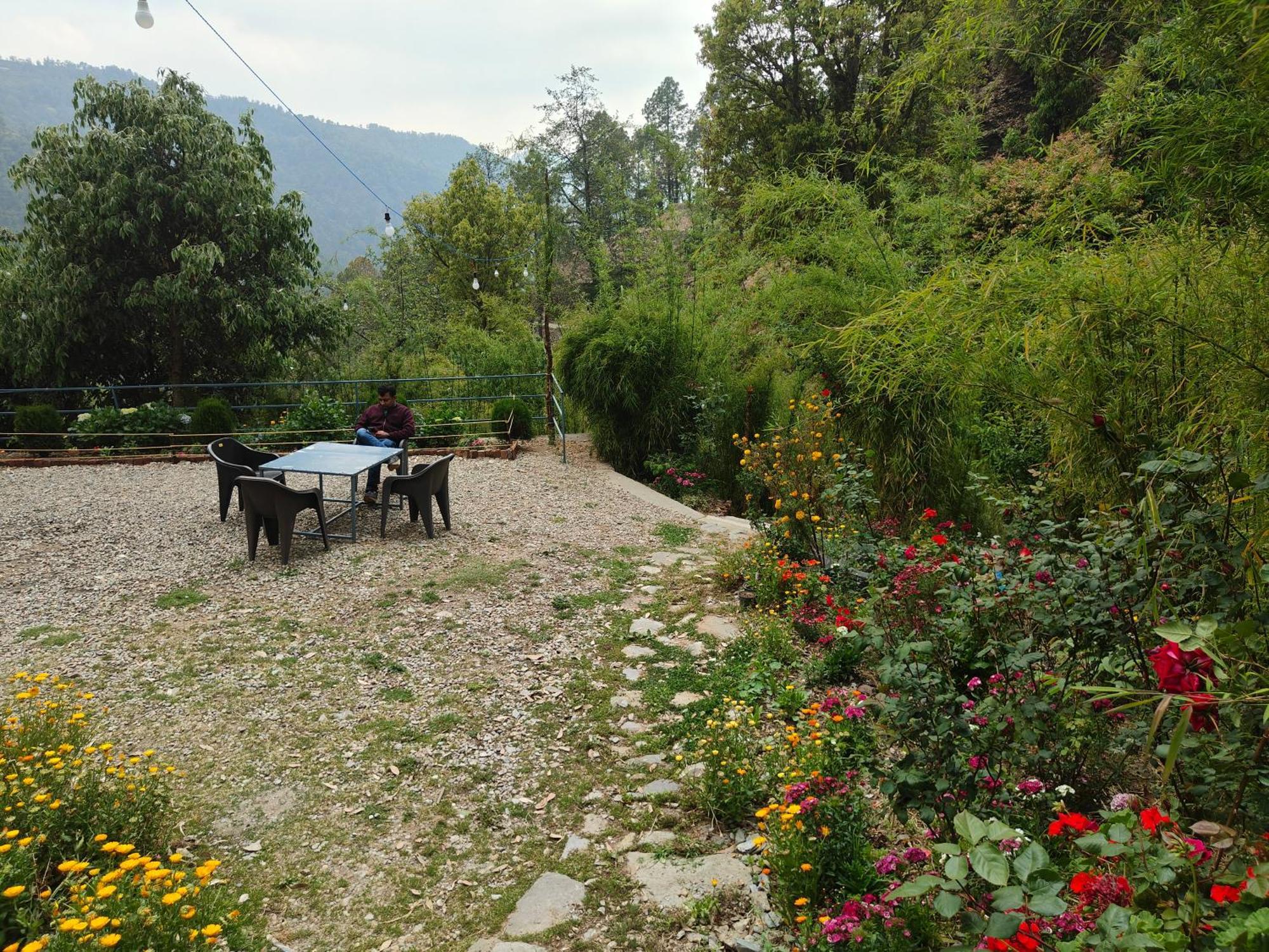Himwanderer Camps & Cottages Pangot Найнитал Экстерьер фото