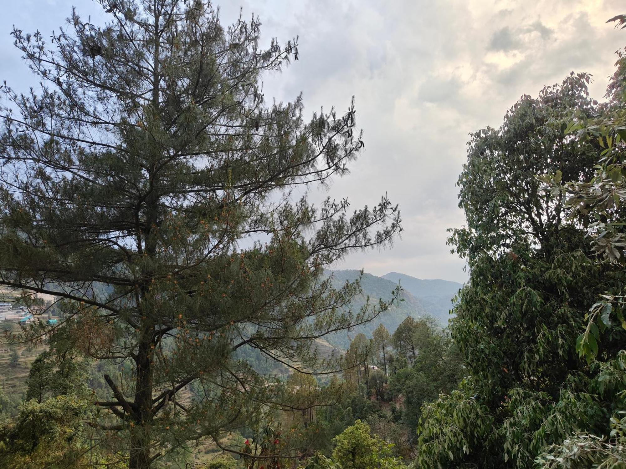 Himwanderer Camps & Cottages Pangot Найнитал Экстерьер фото
